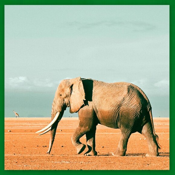 Very Rare Hollóháza Porcelain Specially Crafted & Hand-Painted Elephant Figurine - Picture 9 of 16